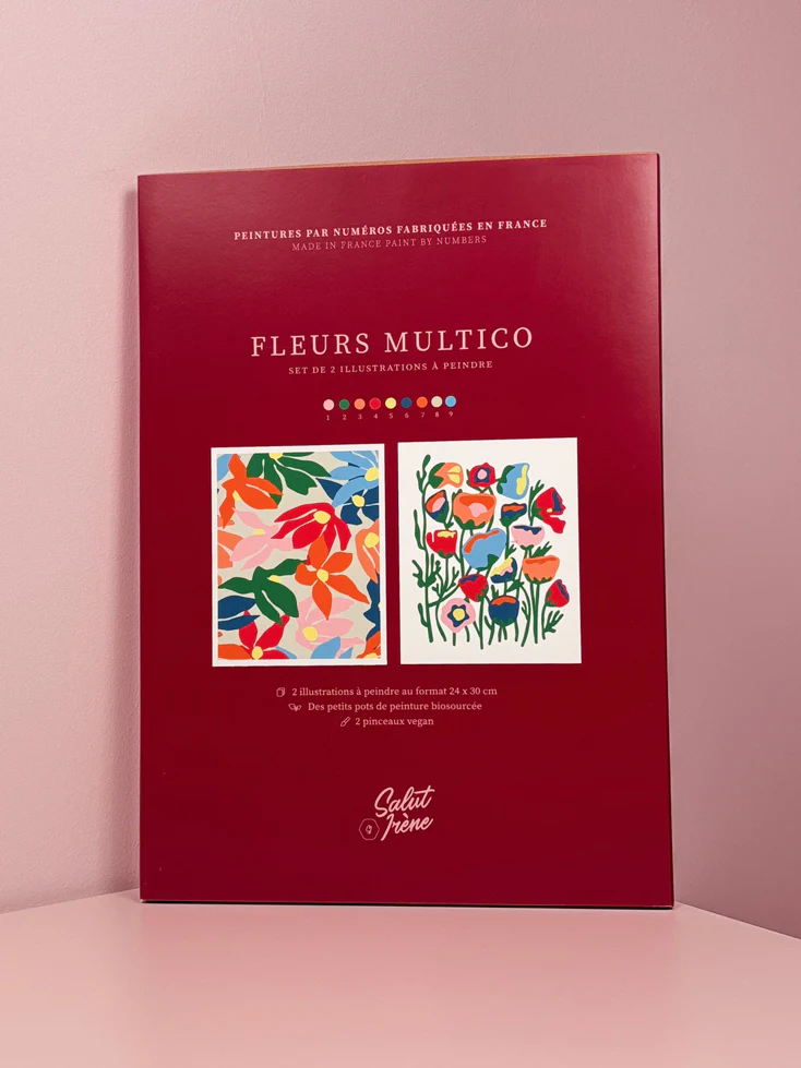 Fleurs multico - Coffret peinture au numéro Salut Irène